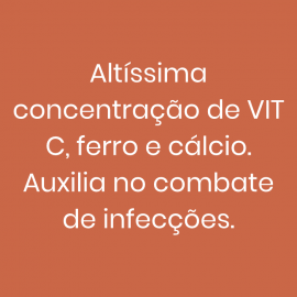 Suco Prensado a Frio - Leão 300ml