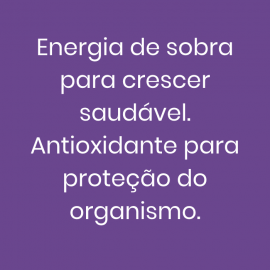 Suco Prensado a Frio - Tatu-Bola 300ml